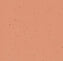  50264 pomelo