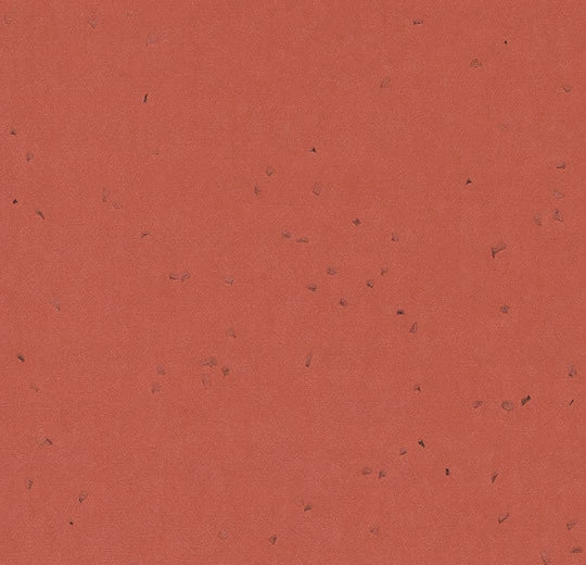  50265 chili