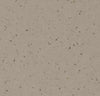 50951 truffle ash Forbo Sphera Elite b+