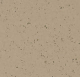 50952 warm clay Forbo Sphera Elite b+
