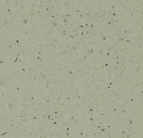 50954 willow mist Forbo Sphera Elite b+