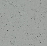 50959 oyster shell Forbo Sphera Elite b+