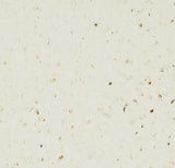 50963 champagne drift Forbo Sphera Elite b+