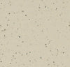 50964 light feather Forbo Sphera Elite b+