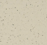 50964 light feather Forbo Sphera Elite b+
