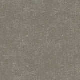 Interface Look Both Ways - Walk of Life Cool Ash A01203