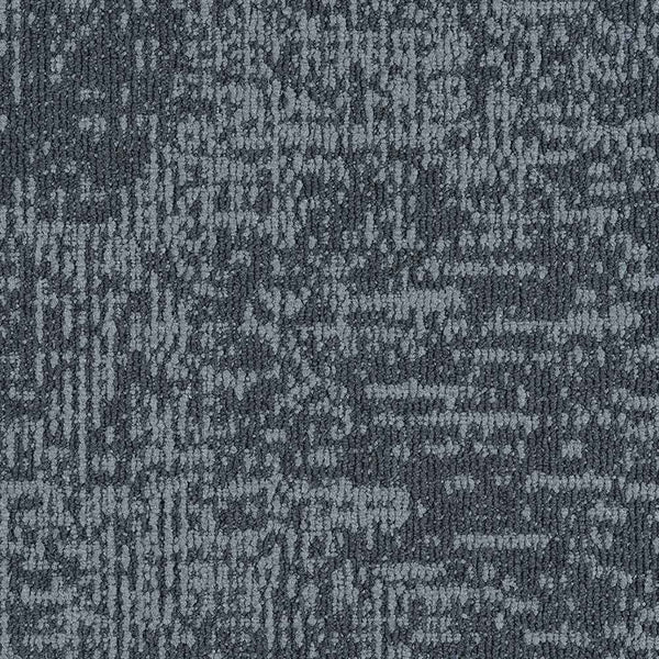 559