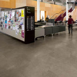 Polyflor Expona Commercial PUR Warm Grey Concrete 5064