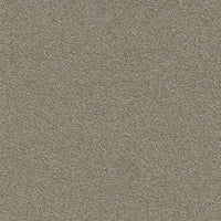 Modulyss Millennium Nxtgen 61 Carpet Tiles