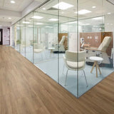 Polyflor Affinity255 Gluedown Harvest Oak 9876