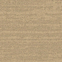 Balsan Sierra 621 Broadloom Carpet