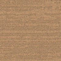 Balsan Sierra 631 Broadloom Carpet