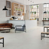 Polyflor Expona Design Stone & Abstract PUR - Frosted Cement 9134