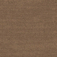 Balsan Sierra 661 Broadloom Carpet