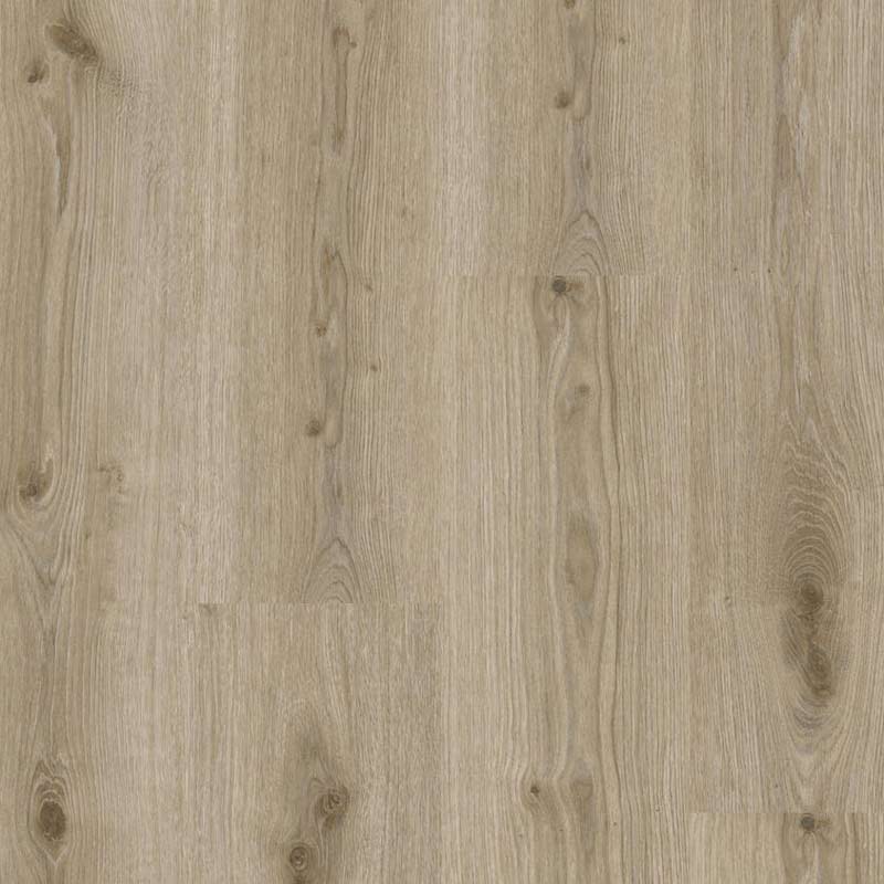 Tarkett Essence 55 Gluedown Primary Oak Light Grey 260053006