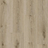 Tarkett Essence 55 Gluedown Primary Oak Light Grey 260053006