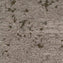 Mohawk Lichen Community - Micro Bloom Carpet Planks