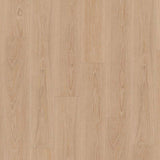 Tarkett Authentics 55 Gluedown Pearl Oak Candis 24513100