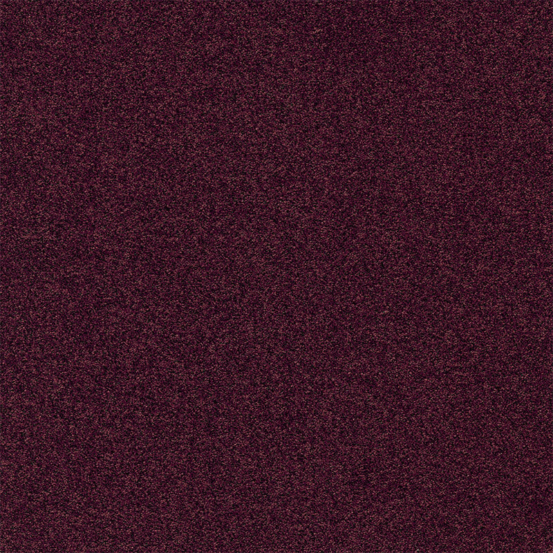 Modulyss Gleam