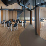 Polyflor Affinity255 Gluedown Huckleberry Oak 9882