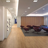Polyflor Expona Simplay Looselay - Honey Wild Oak 2572