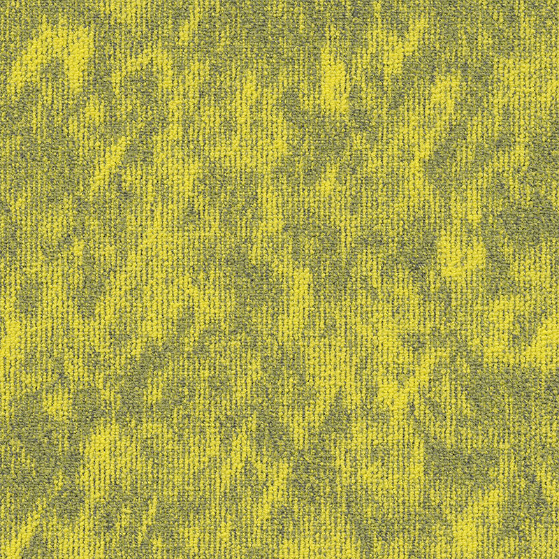 Modulyss Vision