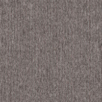 Mohawk Unravel - Follow 854 Carpet Tiles