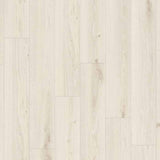 Tarkett Authentics 55 Gluedown Delicate Oak Sugar 24513096