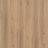 Tarkett Authentics 55 Gluedown Highland Oak Noisette 24513090