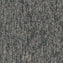 Carus 4110