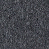 Carus 3110