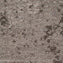 Mohawk Lichen Community - Micro Bloom Carpet Planks