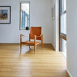 HFLOR Decotile 30 Gluedown Natural Oak 1264 LVT