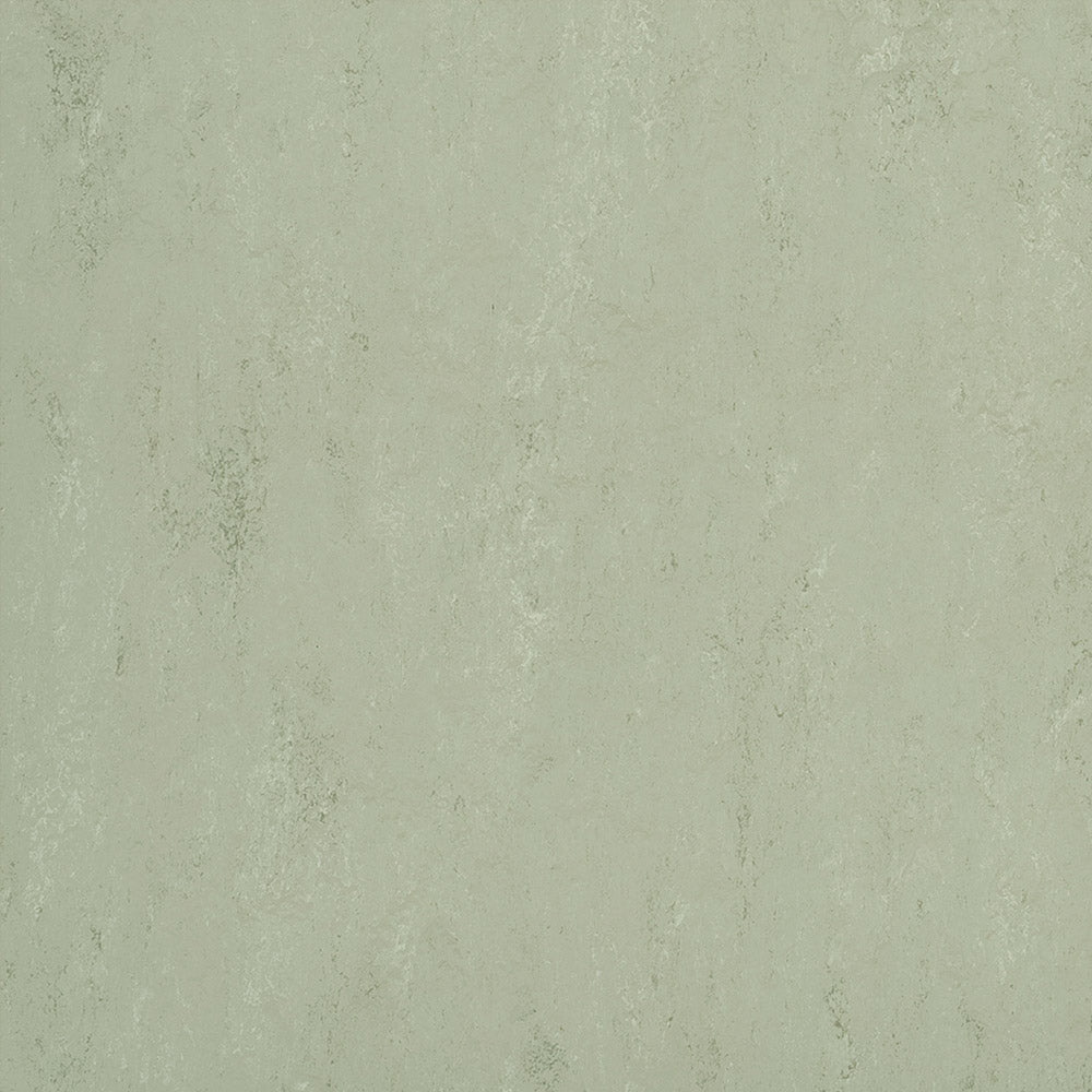 Forbo Marmoleum Modular Accent