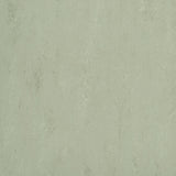 Forbo Marmoleum Modular Accent