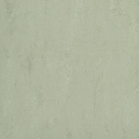 Forbo Marmoleum Modular Accent Fresh Thyme t3769 Linoleum