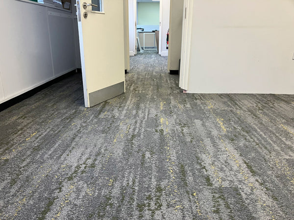 After photo 6