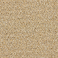 Forbo Tessera Chroma Almond 3630 Carpet Tiles