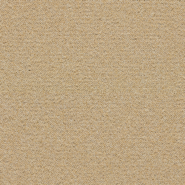 Almond 3630