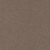Modulyss Perpetual& 136 Carpet Tiles
