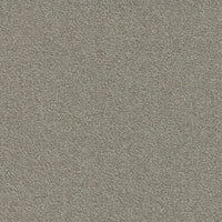 Modulyss Millennium Nxtgen 102 Carpet Tiles