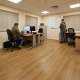 Balsan Elite Gluedown 55 - Jive Honey 650