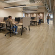 Balsan Elite Gluedown 55 - Jive Natural 620