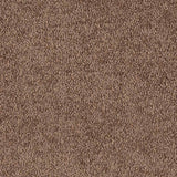Nouveau Cosy Toes 3