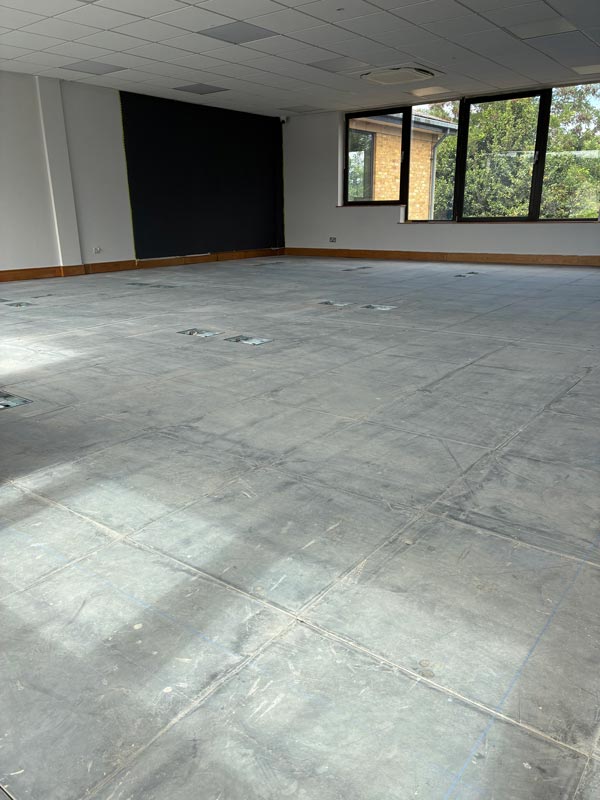 Before photo 4