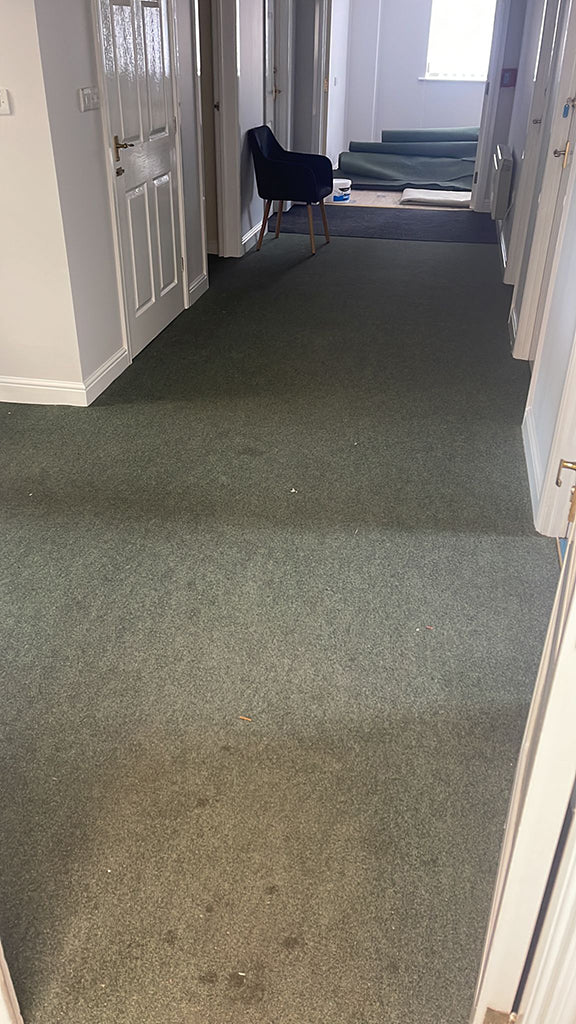 Before photo 1