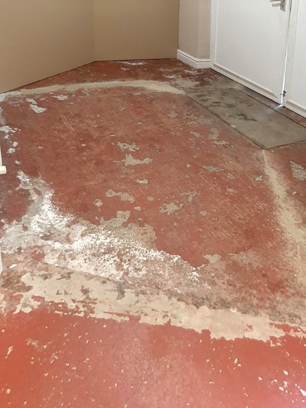 Before photo 2