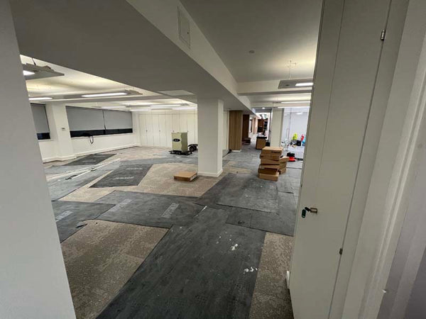 Before photo 4