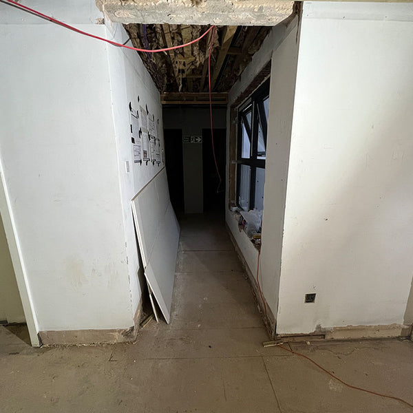 Before photo 2