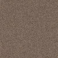 Forbo Tessera Chroma Bramble 3631 Carpet Tiles